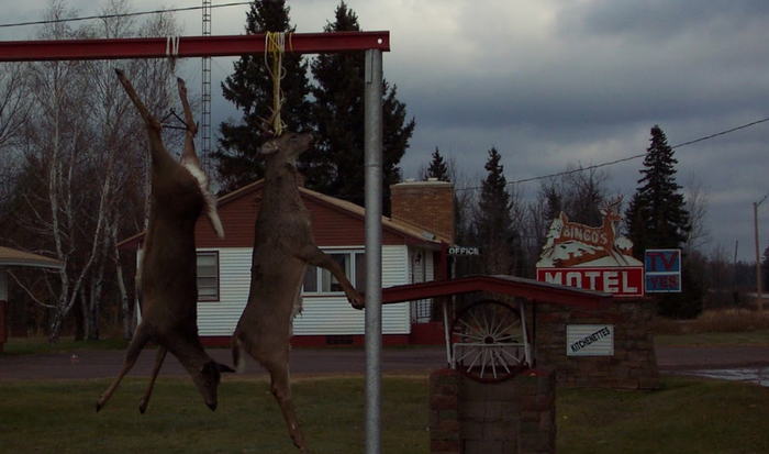 Bingos Motel - From Website